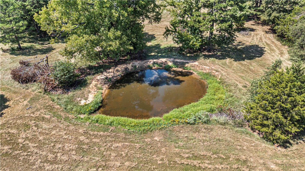 0 Pine Hill Road Dover, AR 72837 - Photo 17 of 23 Gallery Image 17