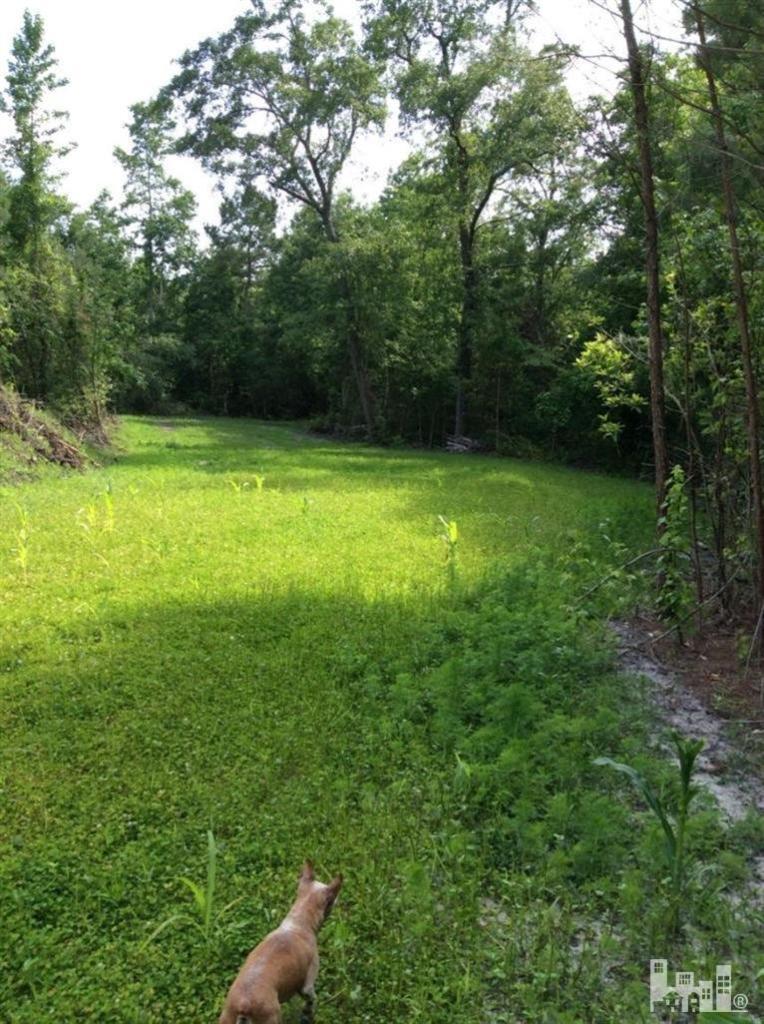 7801 Slocum Trail Atkinson, NC 28421 - Photo 10 of 30 Additional Photo