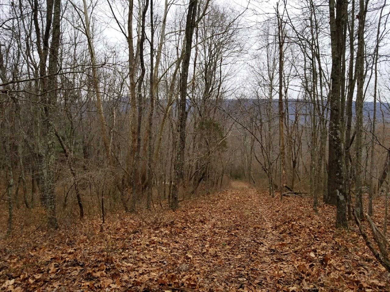 Laurel Brook Road Waiteville, WV 24984 - Photo 7 of 22 Gallery Image 7