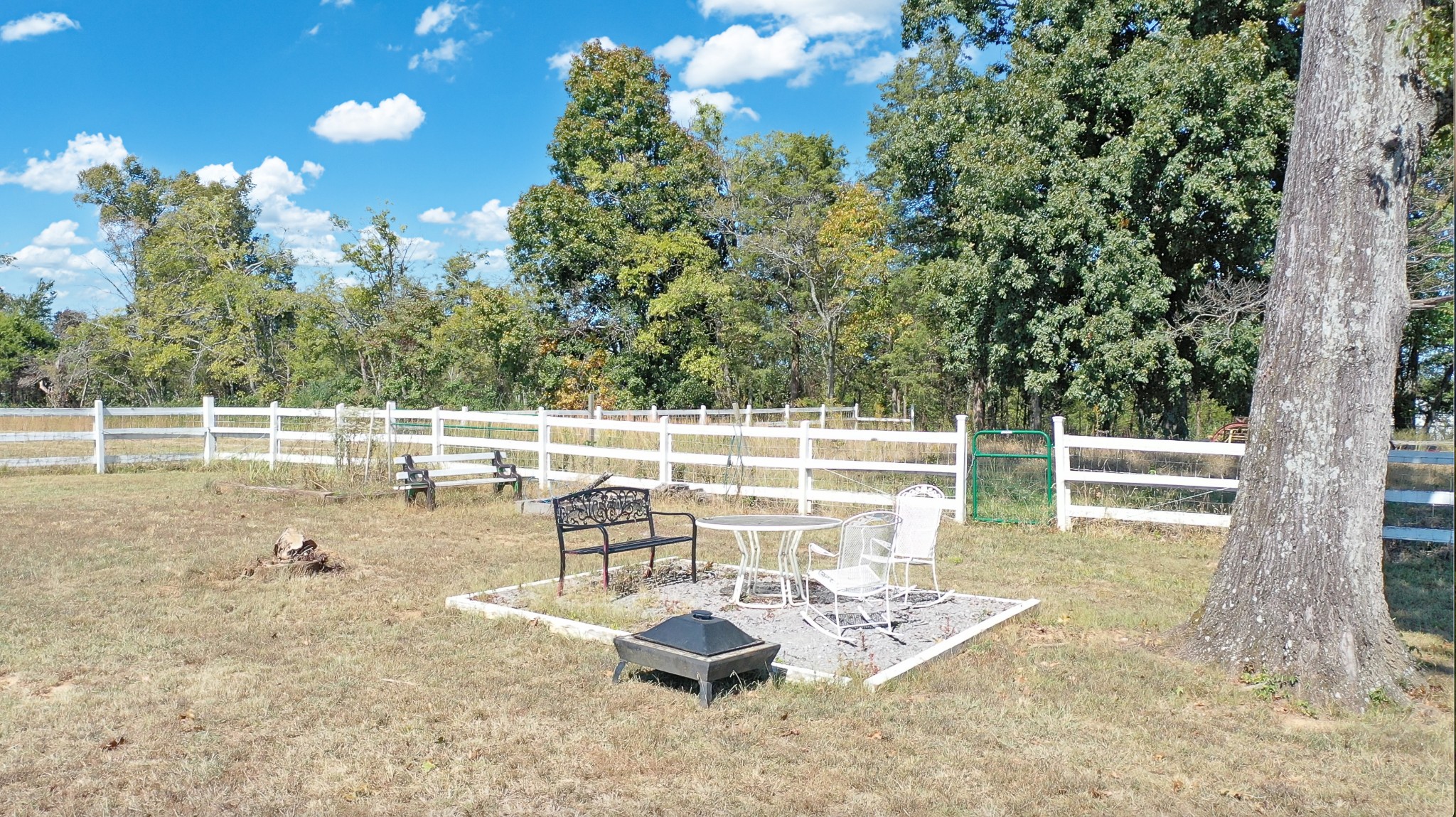 328 Squire Hall Road Bell Buckle, TN 37020 - Photo 54 of 68 Gallery Image 54