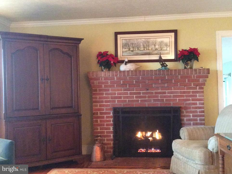 5534 Cassons Neck Road Cambridge, MD 21613 - Photo 14 of 30 Fireplace