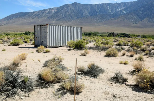 a view of a yard with an outdoor space