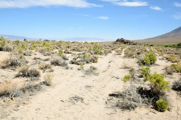 $350,000 | 1985 Indian Springs Drive, Lone Pine, CA 93545