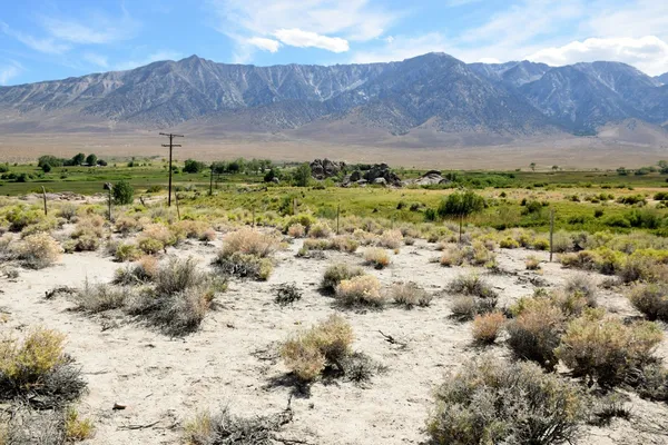a view of a yard with a mountain