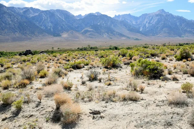 a view of a backyard of the house
