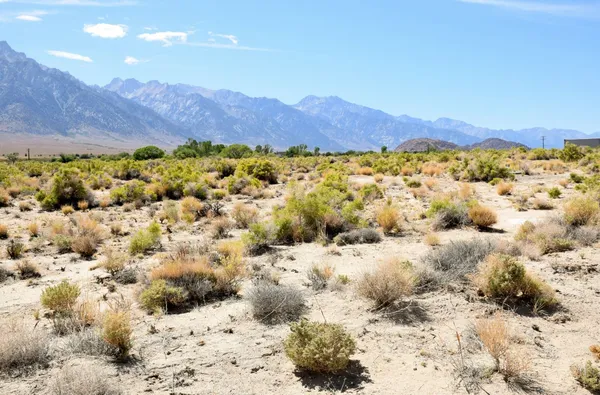 a view of a yard covered in snow