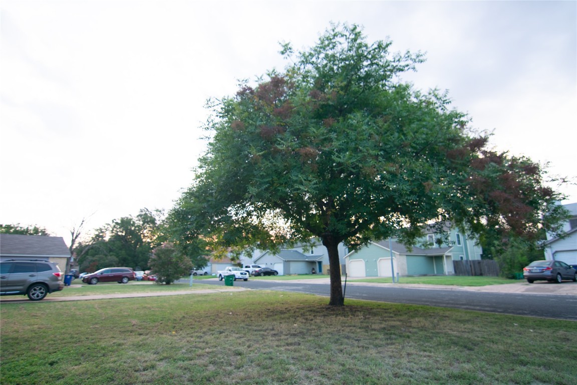 8807 Springmail Circle, Unit A Austin, TX 78729 - Photo 8 of 27 a view of a tree in front of a house with a big yard and large trees