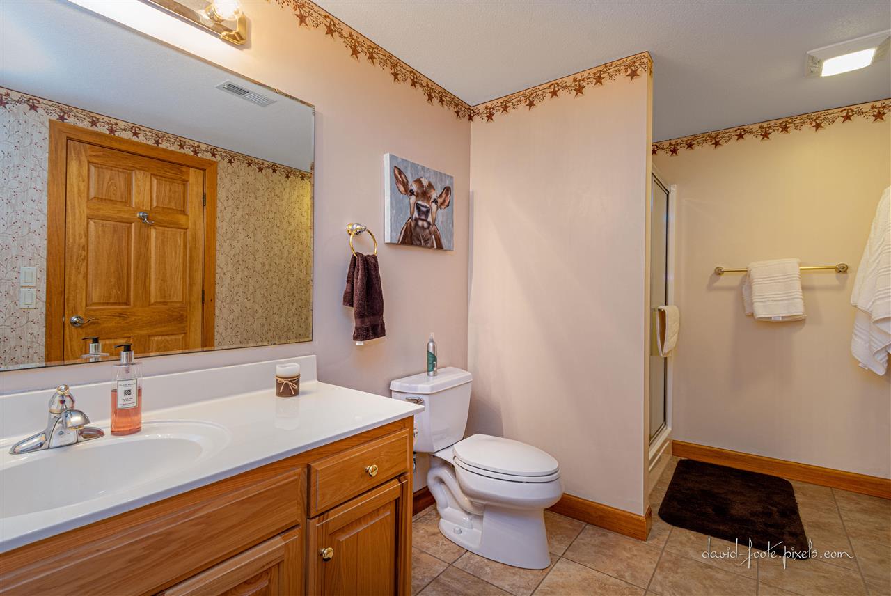 8620 Fisher Road Hanover, IL 61041 - Photo 32 of 49 a bathroom with a sink a toilet and shower
