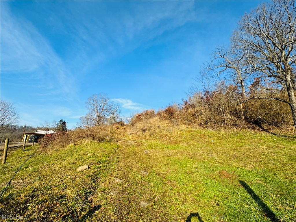 426 Buck Run Road Mineral Wells, WV 26150 - Photo 15 of 39 View of yard