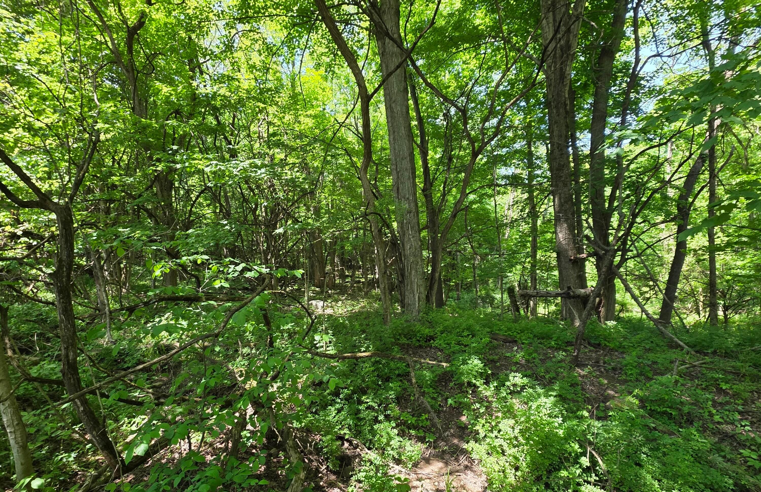 0 Dunham Road, Unit TRACT 5 Mount Vernon, OH 43050 - Photo 6 of 21 52