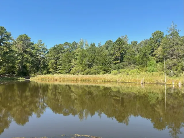 $374,995 | Tbd South Sycamore Street, Palestine, TX 75801