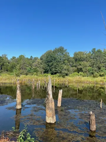 $374,995 | Tbd South Sycamore Street, Palestine, TX 75801