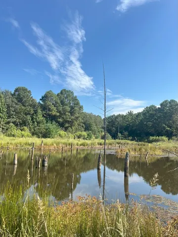 $374,995 | Tbd South Sycamore Street, Palestine, TX 75801