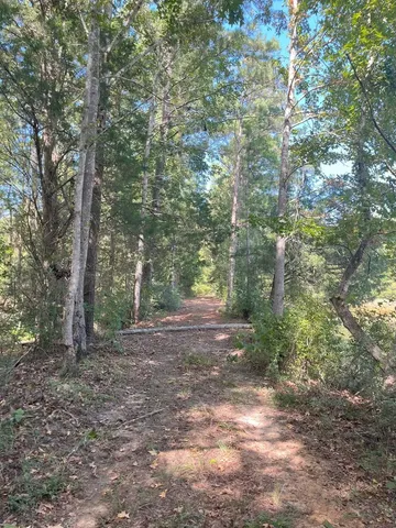 $374,995 | Tbd South Sycamore Street, Palestine, TX 75801