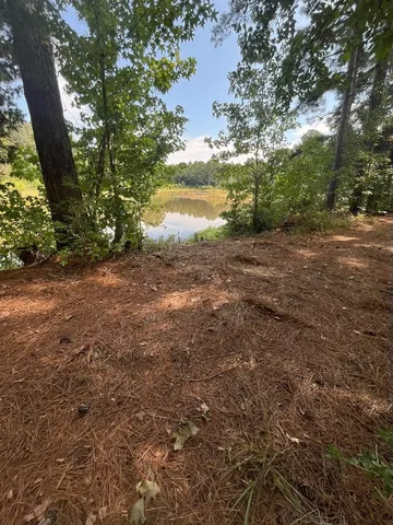 $374,995 | Tbd South Sycamore Street, Palestine, TX 75801