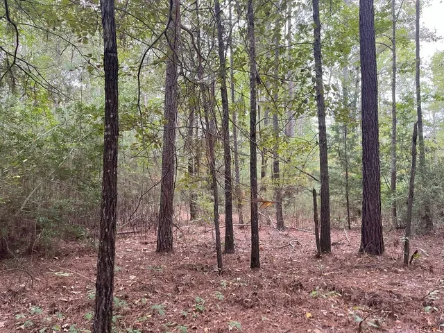 $374,995 | Tbd South Sycamore Street, Palestine, TX 75801