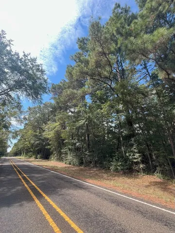 $374,995 | Tbd South Sycamore Street, Palestine, TX 75801