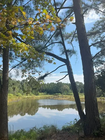 $374,995 | Tbd South Sycamore Street, Palestine, TX 75801