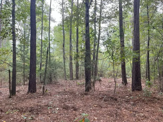 $374,995 | Tbd South Sycamore Street, Palestine, TX 75801