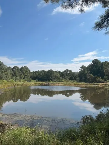 $374,995 | Tbd South Sycamore Street, Palestine, TX 75801