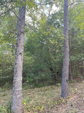 $374,995 | Tbd South Sycamore Street, Palestine, TX 75801