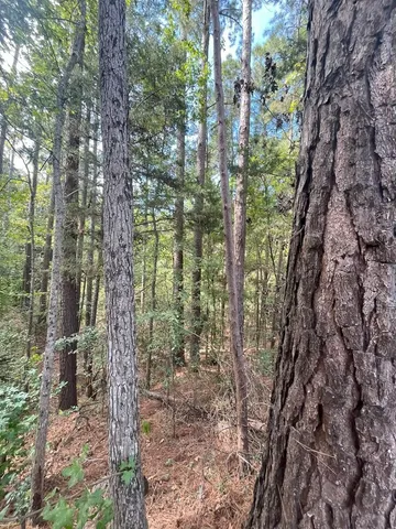 $374,995 | Tbd South Sycamore Street, Palestine, TX 75801