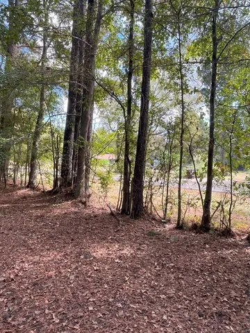 $374,995 | Tbd South Sycamore Street, Palestine, TX 75801