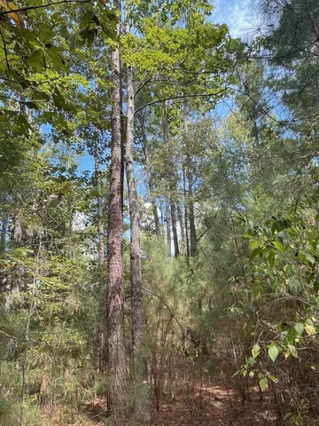 $374,995 | Tbd South Sycamore Street, Palestine, TX 75801