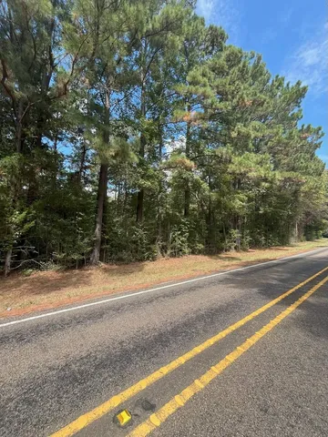 $374,995 | Tbd South Sycamore Street, Palestine, TX 75801