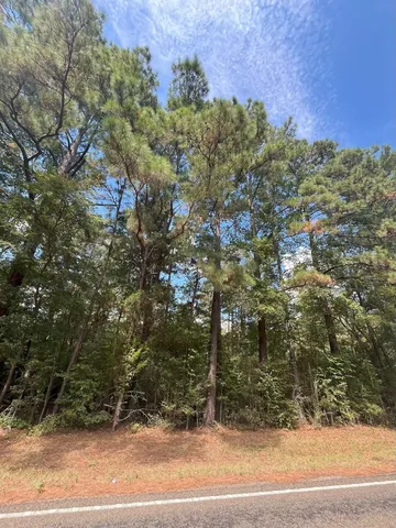 $374,995 | Tbd South Sycamore Street, Palestine, TX 75801