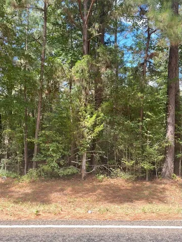 $374,995 | Tbd South Sycamore Street, Palestine, TX 75801