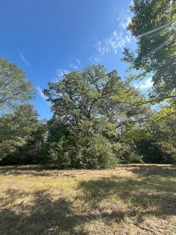 $374,995 | Tbd South Sycamore Street, Palestine, TX 75801