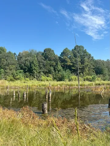 $374,995 | Tbd South Sycamore Street, Palestine, TX 75801