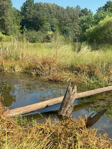 $374,995 | Tbd South Sycamore Street, Palestine, TX 75801