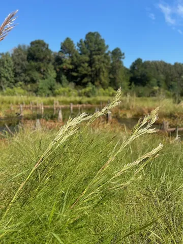 $374,995 | Tbd South Sycamore Street, Palestine, TX 75801