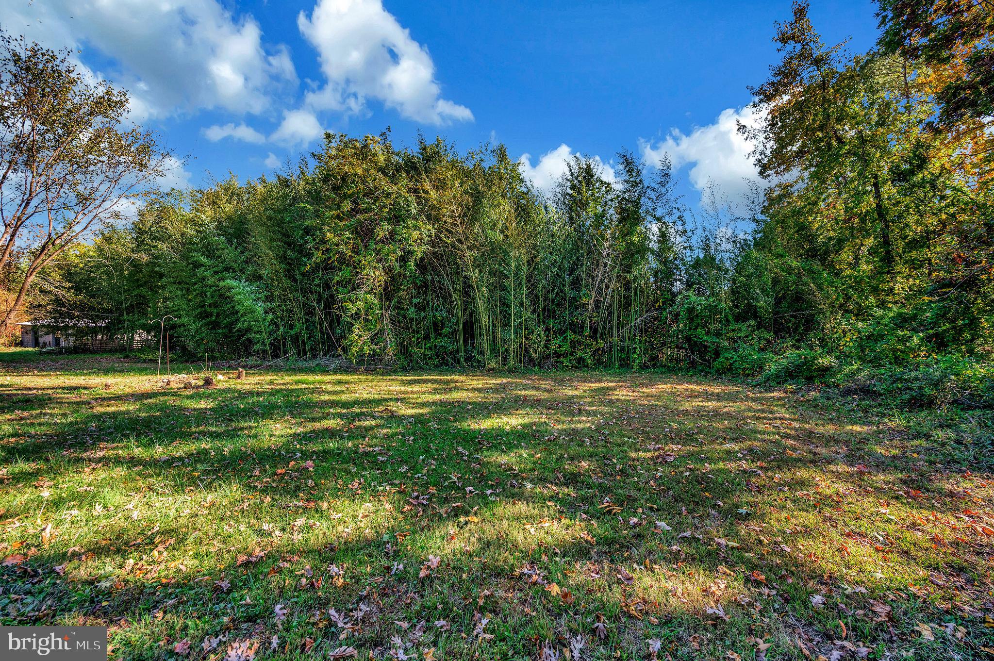 6709 Marye Road Spotsylvania, VA 22551 - Photo 68 of 73 a view of outdoor space