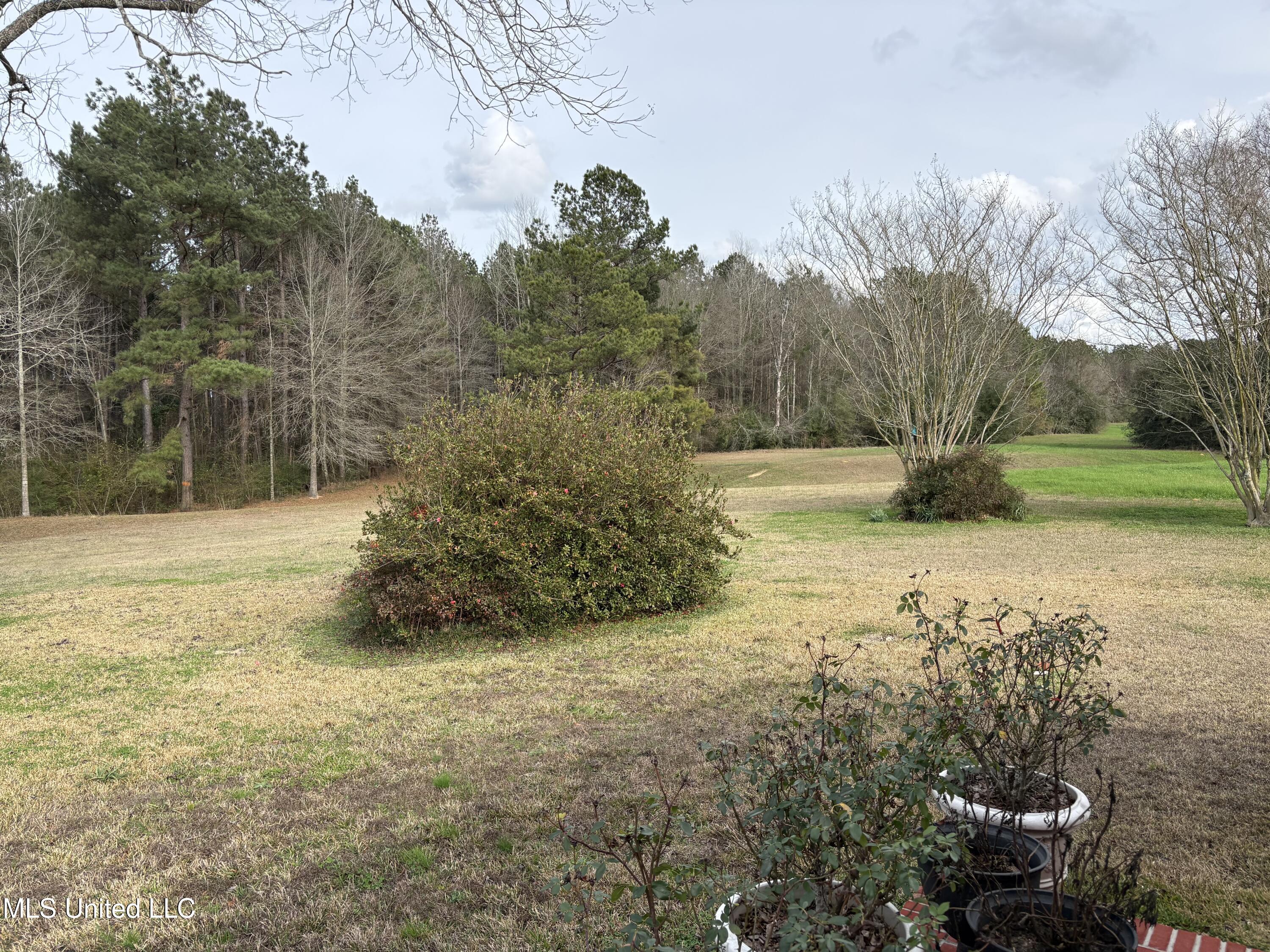 299 Bismark Road Jayess, MS 39641 - Photo 25 of 28 IMG_2443