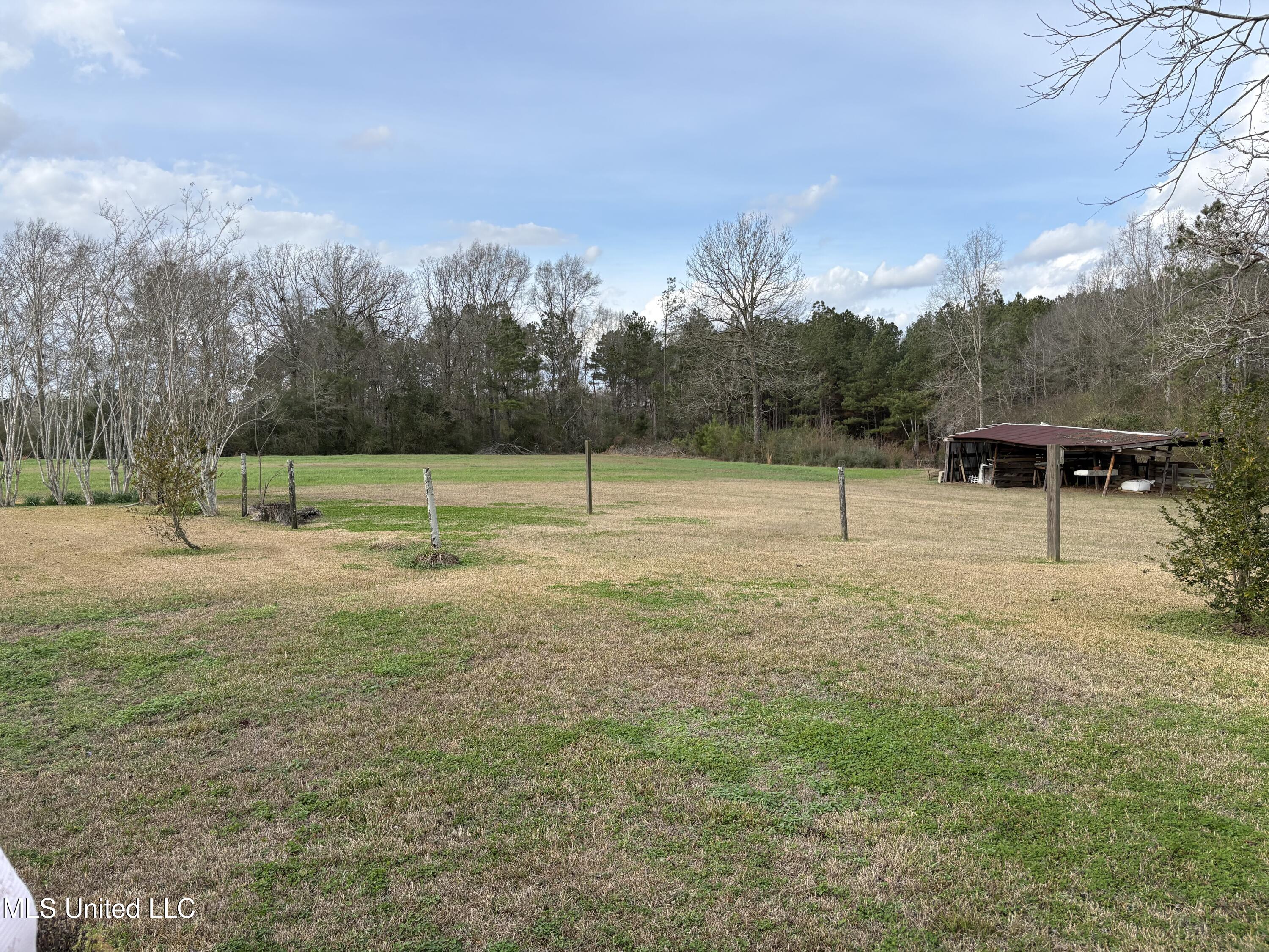 299 Bismark Road Jayess, MS 39641 - Photo 26 of 28 IMG_2442