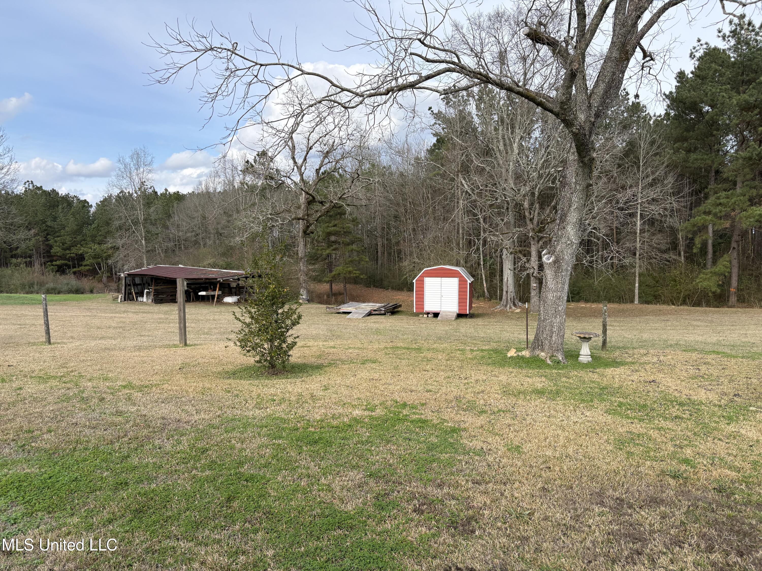 299 Bismark Road Jayess, MS 39641 - Photo 27 of 28 CRANE OUTSIDE 2