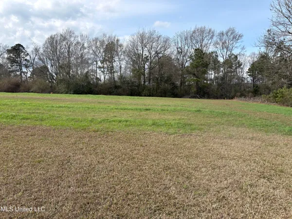 $285,000 | 299 Bismark Road, Jayess, MS 39641