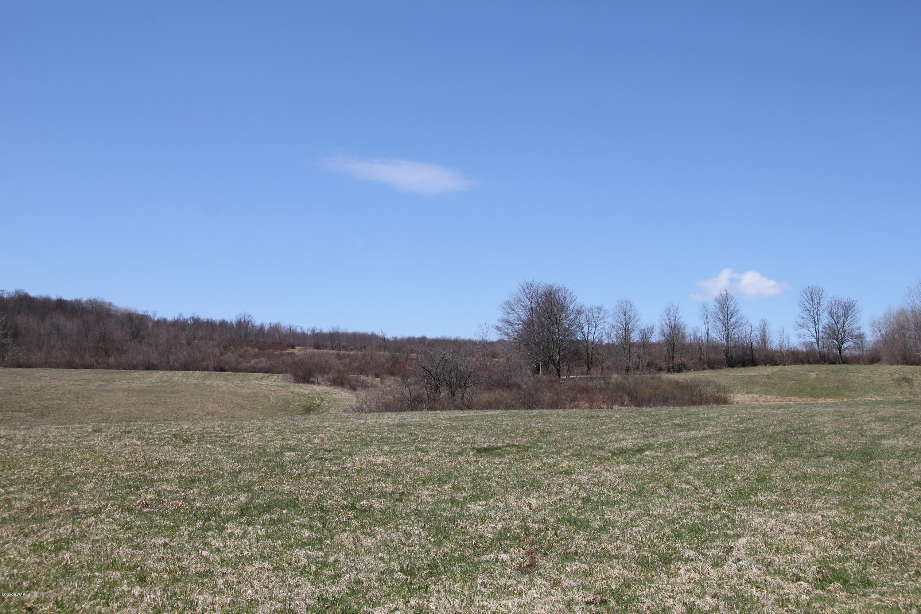 695 Pine Mill Road Equinunk, PA 18417 - Photo 64 of 68