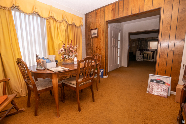 160 North 100 W Street Beaver, UT 84713 - Photo 14 of 36 Dining space with wooden walls and light colored carpet