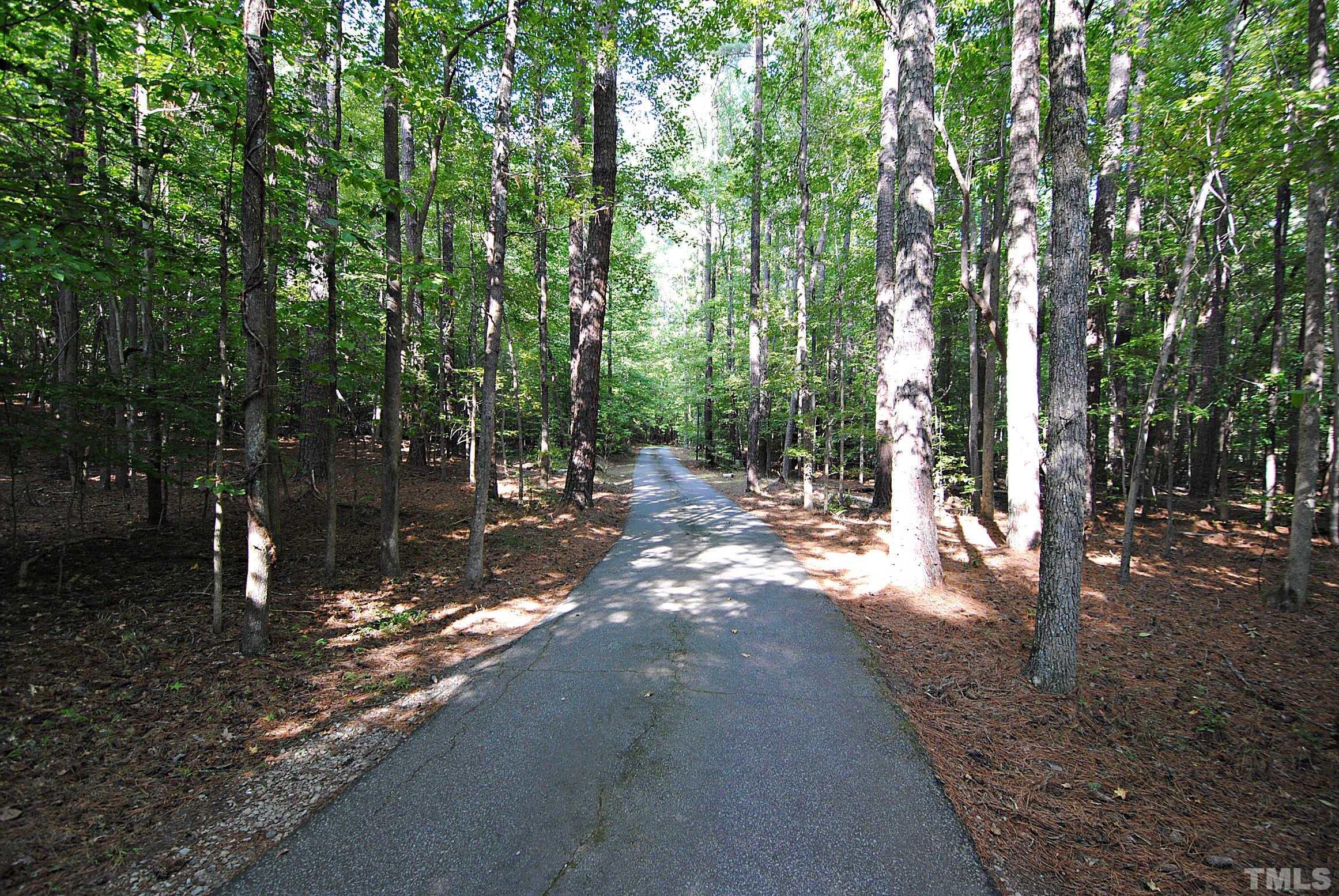 7106 Matthews Road Durham, NC 27712 - Photo 4 of 30 a view of a forest with trees