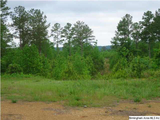 Mayo Road, Unit 96 Altoona, AL 35952 - Photo 8 of 23