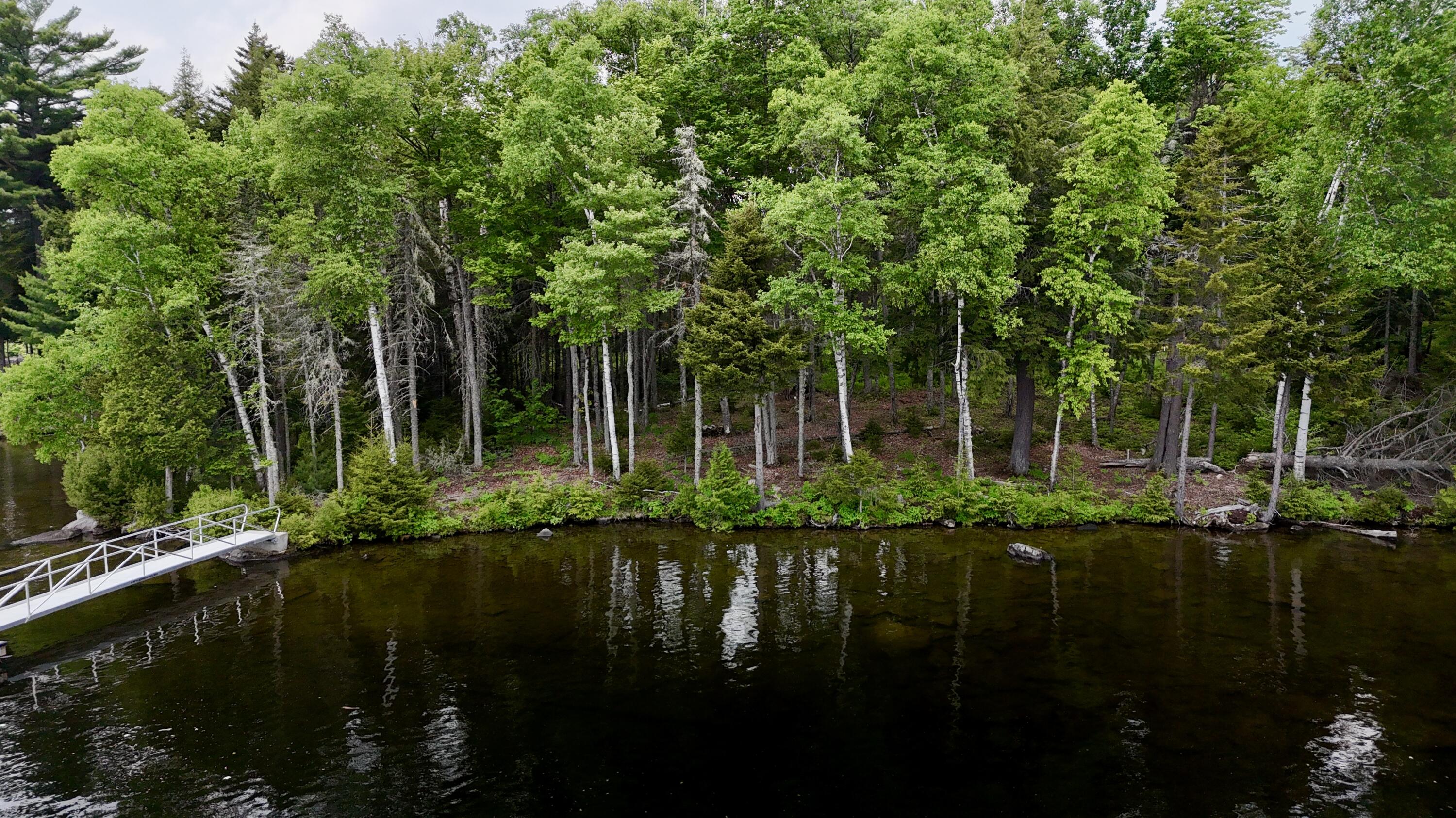 Lot 3 Mountain View Road Greenville Junction, ME 04442 - Photo 11 of 12 DJI_20250612134241_0868_D