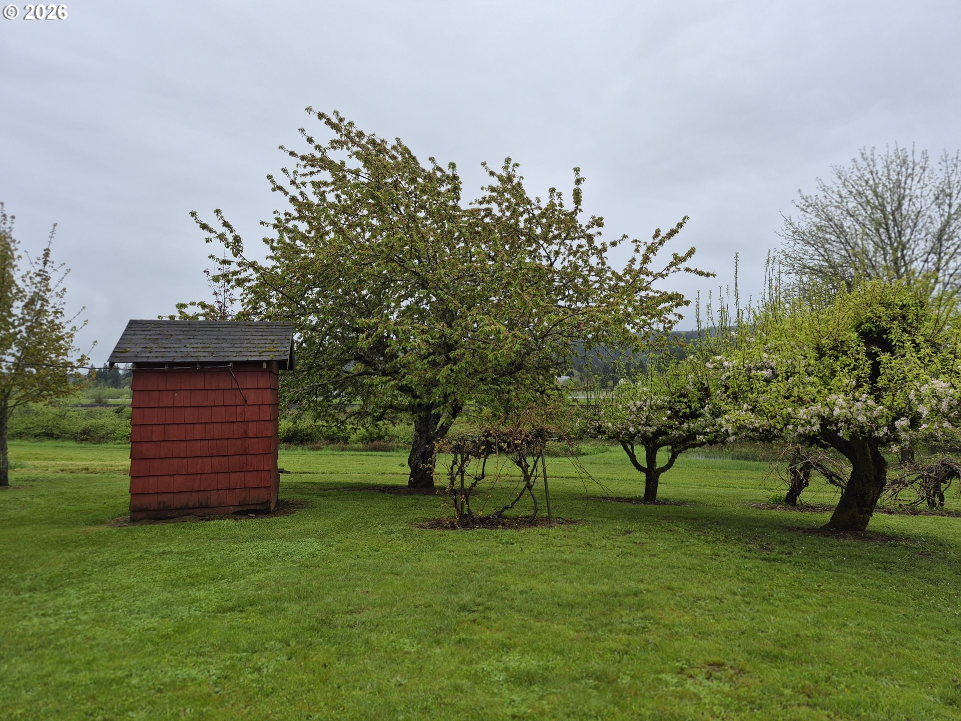 5659 Southwest Spring Hill Road Gaston, OR 97119 - Photo 25 of 35