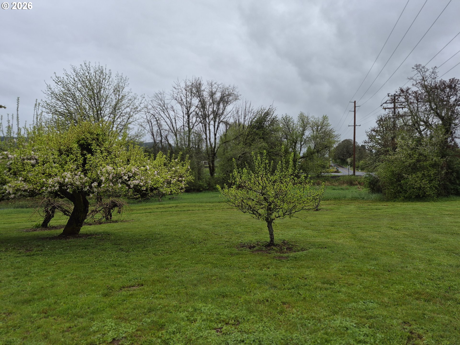5659 Southwest Spring Hill Road Gaston, OR 97119 - Photo 26 of 35