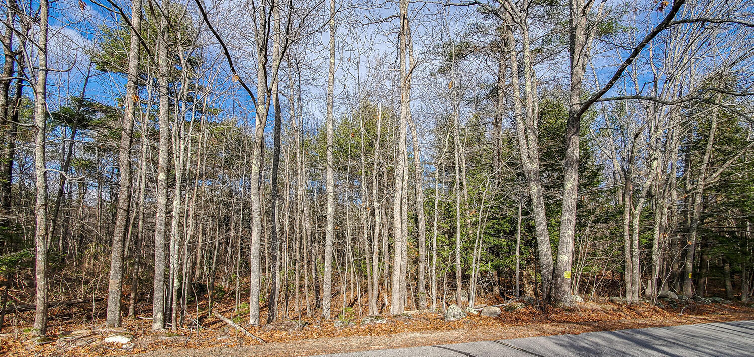 0 Lunts Hill Road Litchfield, ME 04350 - Photo 30 of 80 0 Lunts Hill Rd Litchfield-large-033-014