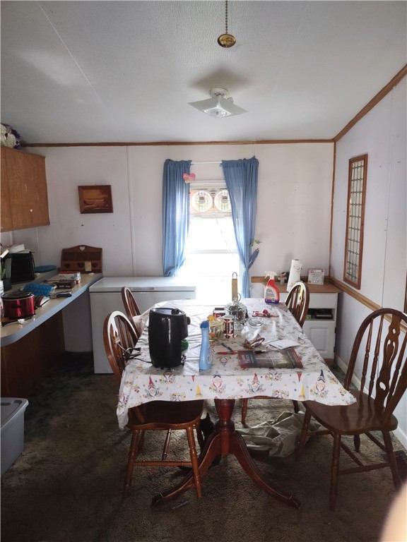 205 South East Street Watson, IL 62473 - Photo 5 of 6