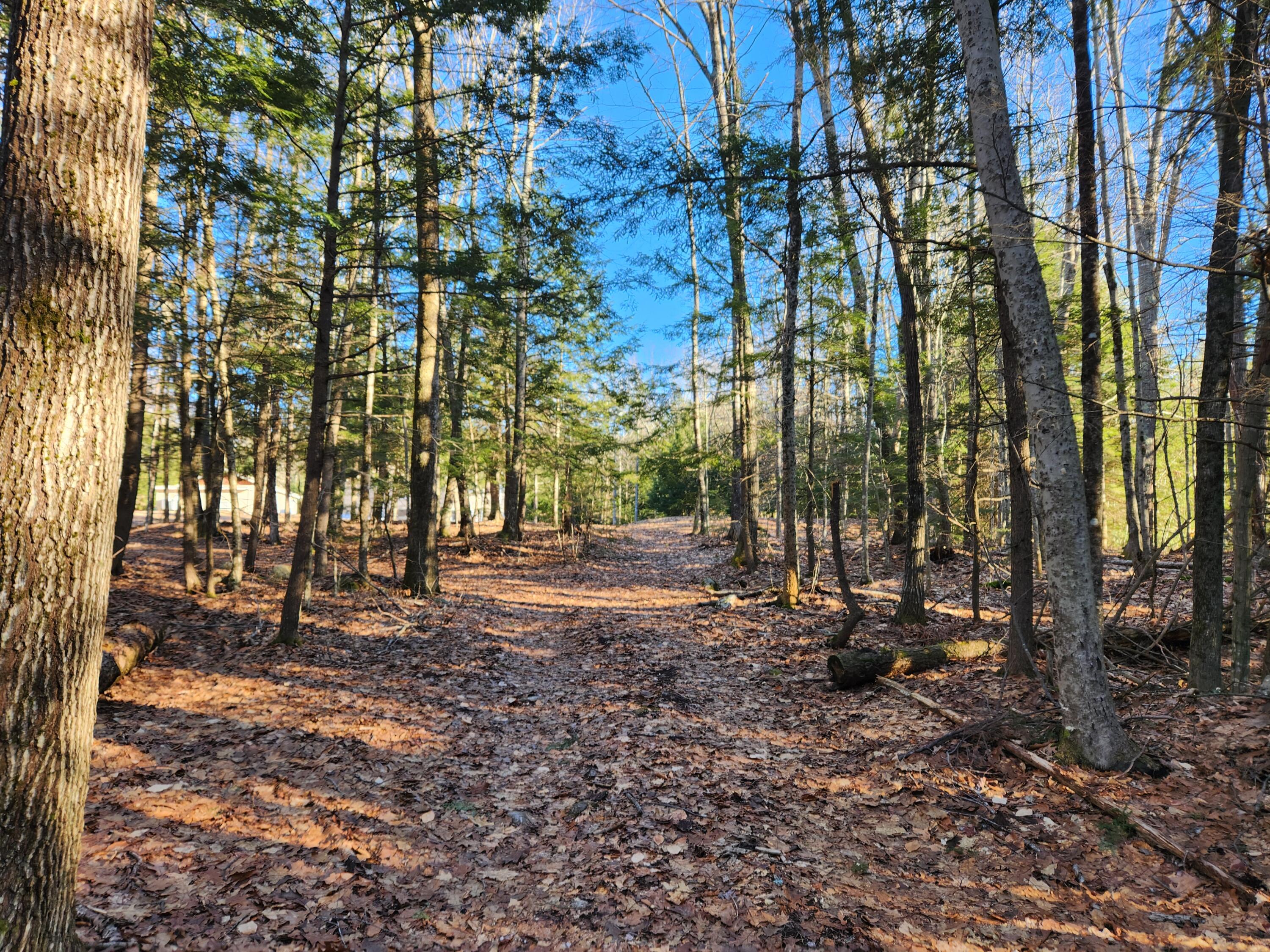 55 A A To Z Road Greene, ME 04236 - Photo 51 of 54 20240308_152447